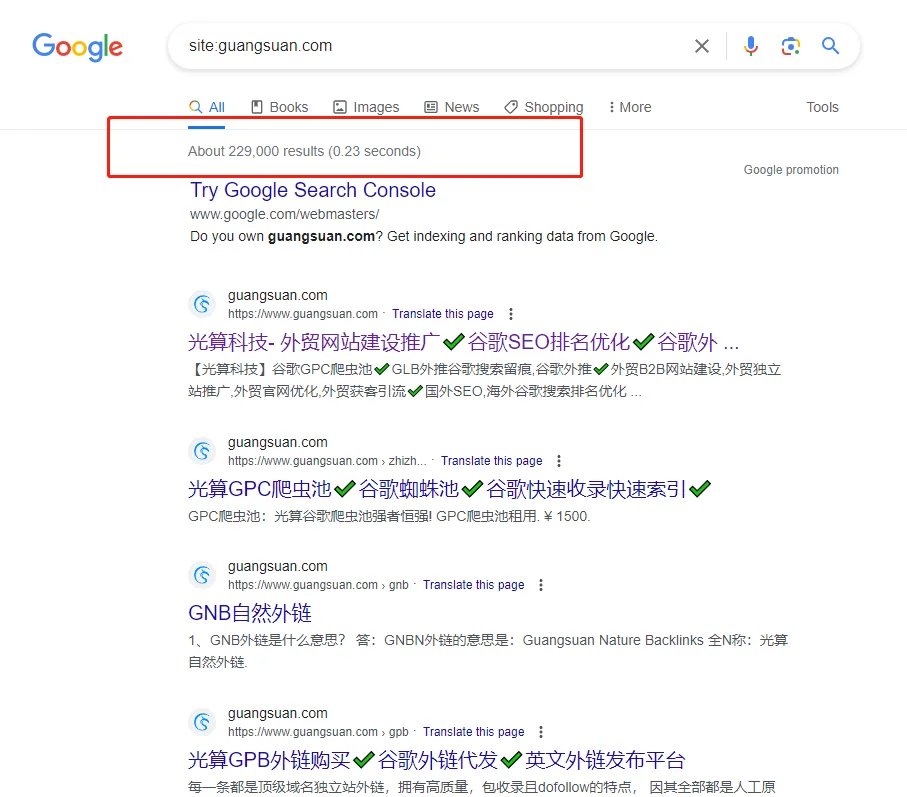 历史Google site查询截图:显示站点匹配页面